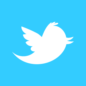 twitter newbird boxed whiteonblue resized 600
